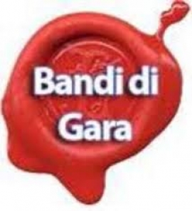 Pubblicazione bando di gara